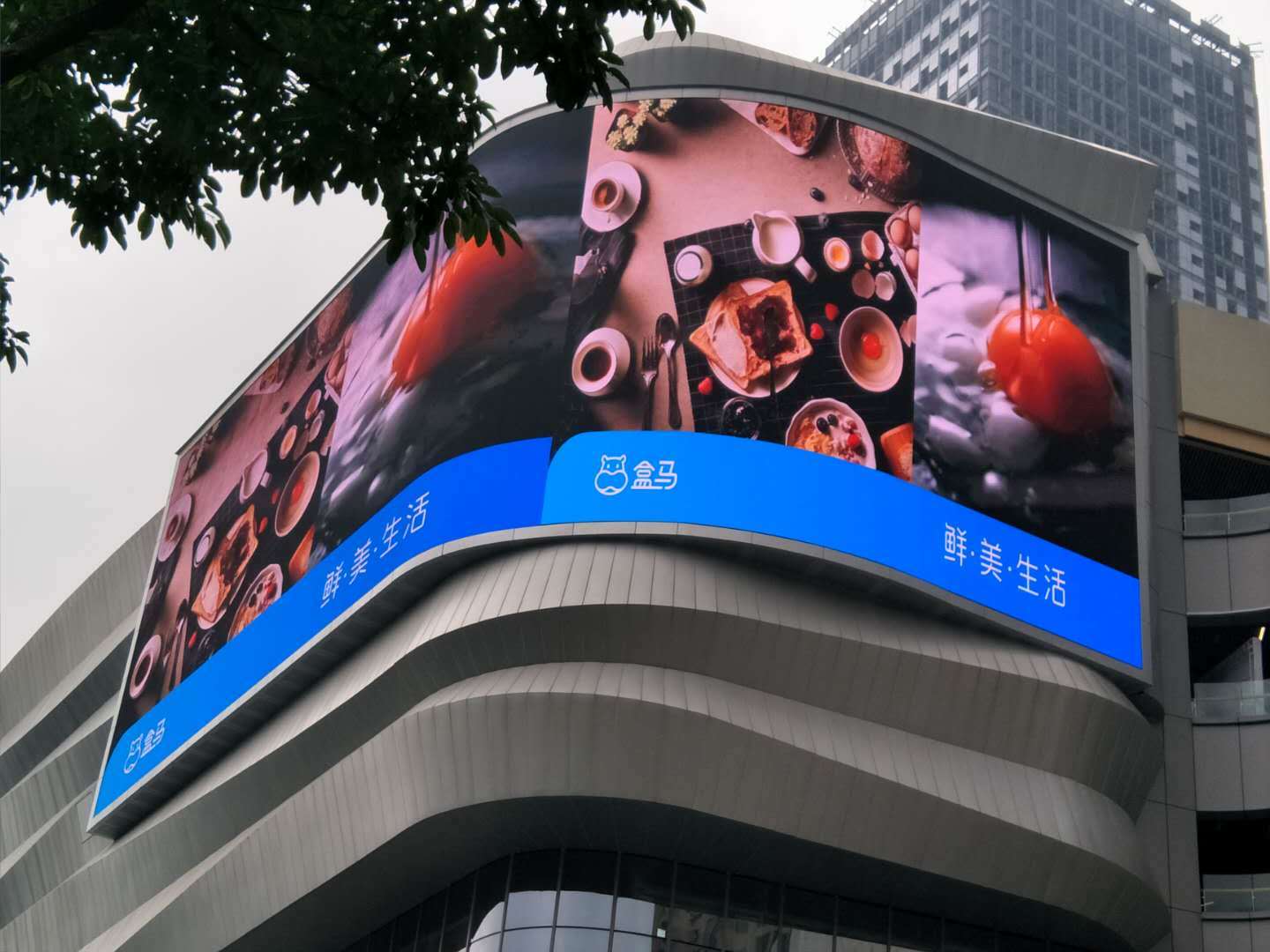 outdoor curve led screen